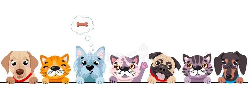 Understanding Your Pet's Personality: Tailoring Care to Their Temperament